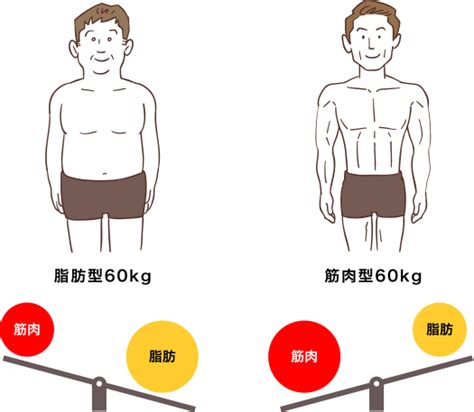 筋トレすると太る：筋肉と脂肪の不思議な関係